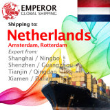 Cargo Ship From Shanghai, Ningbo, Shenzhen, Guangzhou to Amsterdam, Rotterdam