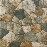 Inject Glazed Ceramic Floor Tiles (6D13)