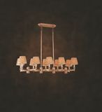 Modern High Quality Copper Chandelier