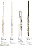 Flute (JYFL-E100 E110 E120 A600)