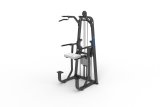 CE and RoHS Approved Ld-8009 DIP Assisit Commercial Fitness Equipment /Gym Equipment/Fitness Equipment