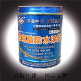 Polyurethane Waterproof Coating