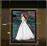 Window Display Acrylic LED Advertising Light Box (CSH01-A4P-15)