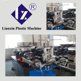Rattan Extrusion Machinery (LXSJ-55)