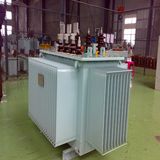 20kv~35kv/125kVA Oil Immersed Power Transformer (Distribution Transformer)