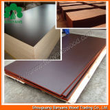 9-21mm Black Film Faced Plywood for Construction Building