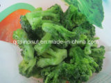 Frozen Broccoli (2-4cm)