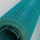 PVC Coated Welded Wire Mesh/Hot Dipped Galvanized Welded Wire Mesh