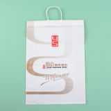 Custom Printed Plastic Bag for Shopping with Rigid Handle (ZZ-086)