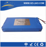 Lithium Iron Phosphate (LiFePO4) 24V 10ah LFP Battery Pack for E-Bike/E-Scooter