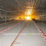 Automatic Poultry Control Shed Equipment with SGS Certificate