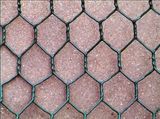 Galvanised Hex Netting (BWG36-BWG6)