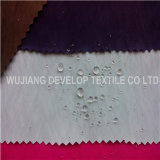 Dwr Polyester and Nylon Function Fabric for Clothes Fabric (DTN3075)