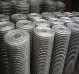 Hot Sale Wire Mesh / Wire Netting / Metal Wire Mesh