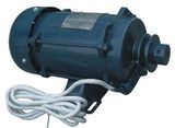 Explosion Proof Motor