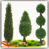Customized Decorative Plant Artificial Pine Tree (Topiary Boxwood Plant)
