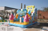 Heavy Duty Cheap Outdoor Inflatable Dry Slide