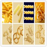 Popular Italian Pasta Penne Making Machine Equipment Ficility