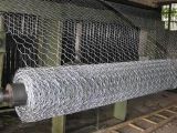 Galvanized Wire Mesh/PVC Coated Hexagonal Wire Netting