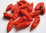 High Quality Chinese Goji Berry/180-700 PCS/50g