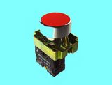 Pushbutton Switch (JXB2-BA42)