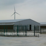 Light Steel Poultry Farm Construction with Full Set Equipment