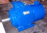 1HP-270HP Tefc (IP54) Inverter Duty Electric Motor