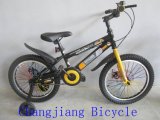 Cool Disc Brake Mountain Bike (MTB) for Kids (children)