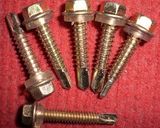 China Fastener Manufacturer Stainless Steel Self Drilling Screws