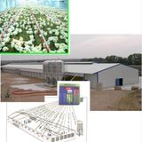 Poultry Farm Equipment for Modular Poultry Farm (JCJX-91)