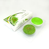 Green Tea Organic Shampoo Bar Soap for Hair