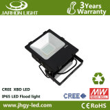 High Power CE RoHS Approved Meanwell Driver 70W LED Garden Light