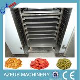 Mango Food Processing Dryer for Sale