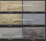 Yellow/White/Beige/Black Mushroom Quartz Stone for Wall Tiles