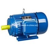 Y Series Cast Iron Three Phase Motor