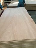 Mahogany Veneer Fancy MDF Sale in Mexico