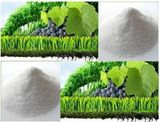 Magnesium Fertilizer