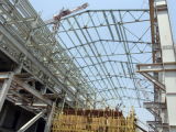 Steel Structure for Industrial Field (have exported 200000tons-43)