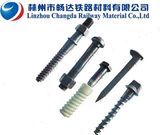 Rail Square Head Screw Spike (SS)