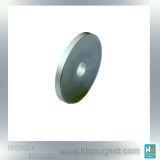 Rare Earth Large Ring Magnet