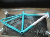 Painted Magnesium Alloy Bike Frame 002