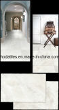 Non-Slip Ceramic Floor or Wall Tiles/Ceramic Tile