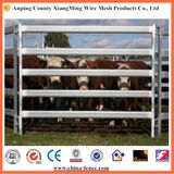 Cheap Galvanized Cattle Panel (Factory)