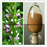 Motherwort Extract, Pure Chinese Herbal Medicine, Herbal Medicine, Nontoxicity