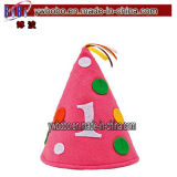 Novelty Birthday Holiday Gift Birthday Party Hat (B1005)