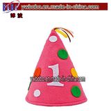 Novelty Birthday Holiday Gift Birthday Party Hat (B1005)