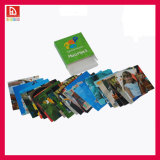 Customize Colorful Paper Memory Cards (DHN1025)