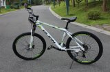 26'' Good Quality Aluminum Nice Design MTB Bike Mountain Bike Mountain Bicycle (AFT-MB-042)