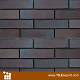 Exterior Wall Tile Clay Brick