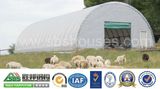 Prefabricated Steel Structure Farm Storage Buildings